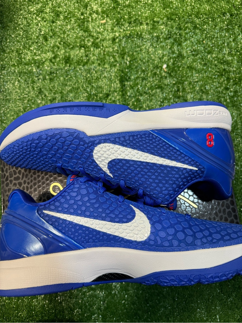 Blue kobe 6 protro